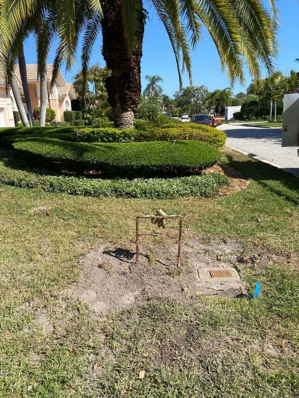 Sprinkler system valve with green grass and palm trees in a residential landscape.