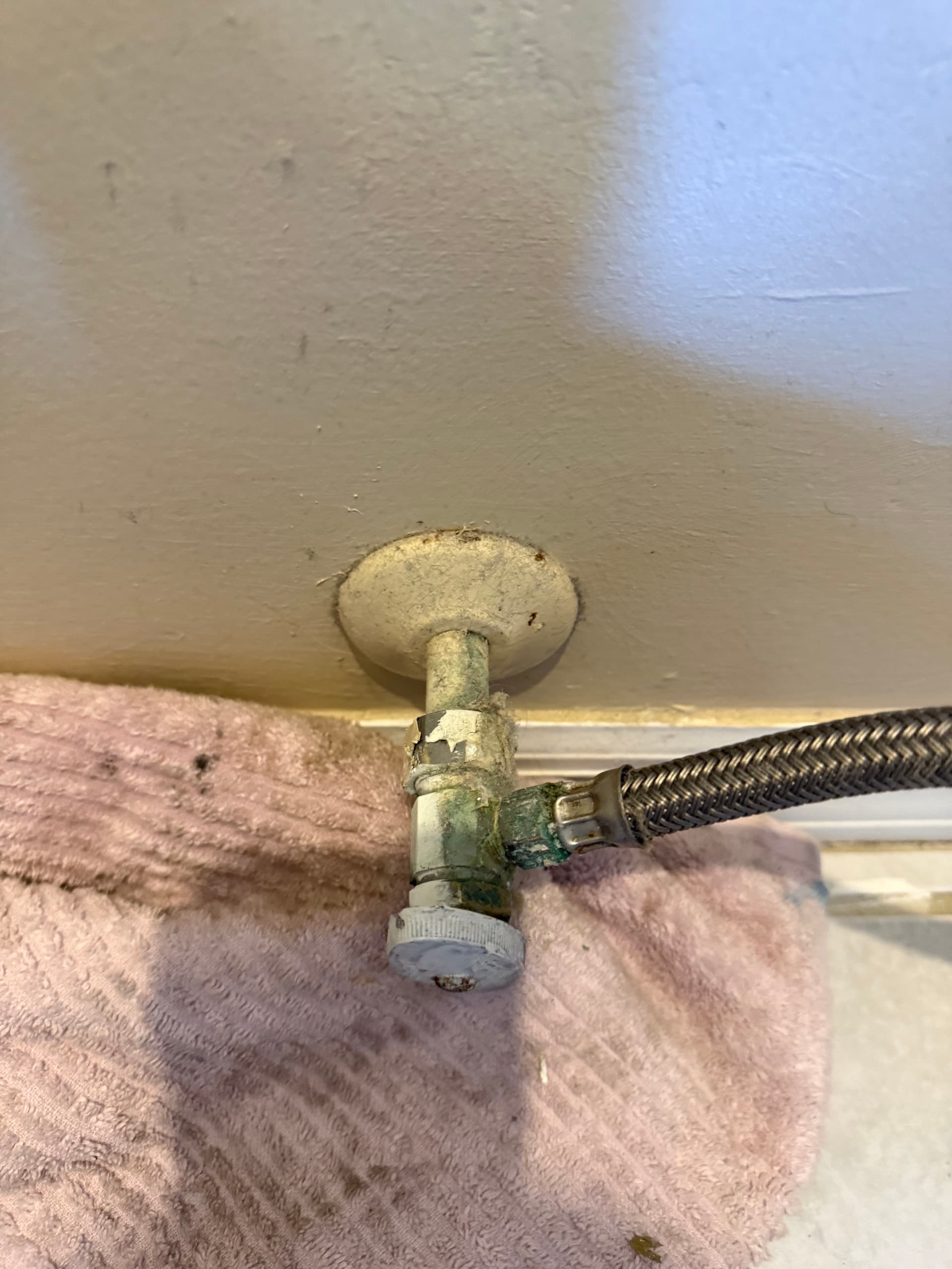 Gallery photos for Modern Bidet Toilet Installation: Image #5