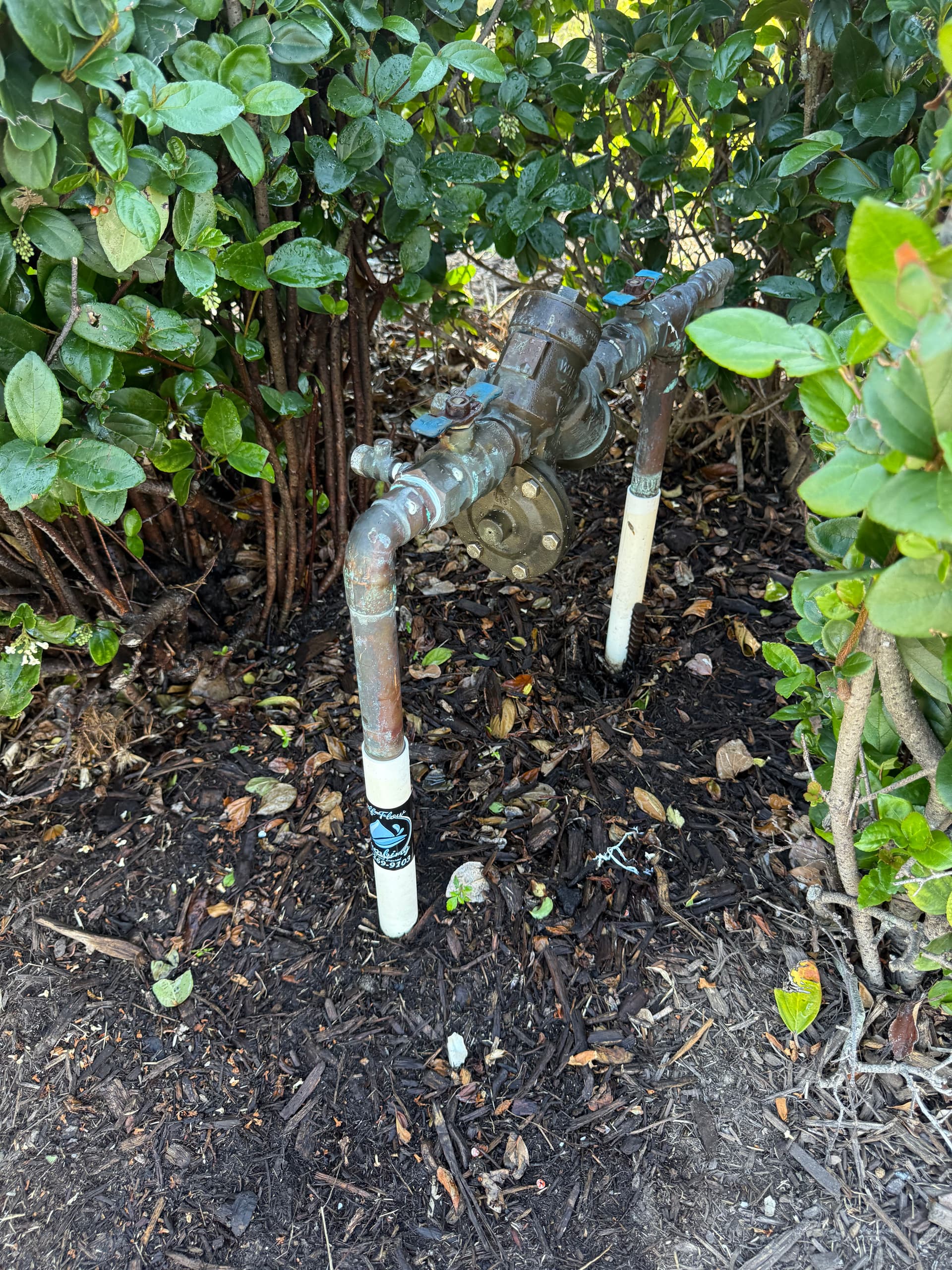 Gallery photos for Complete Backflow System Repair for Smooth Operation: Image #4