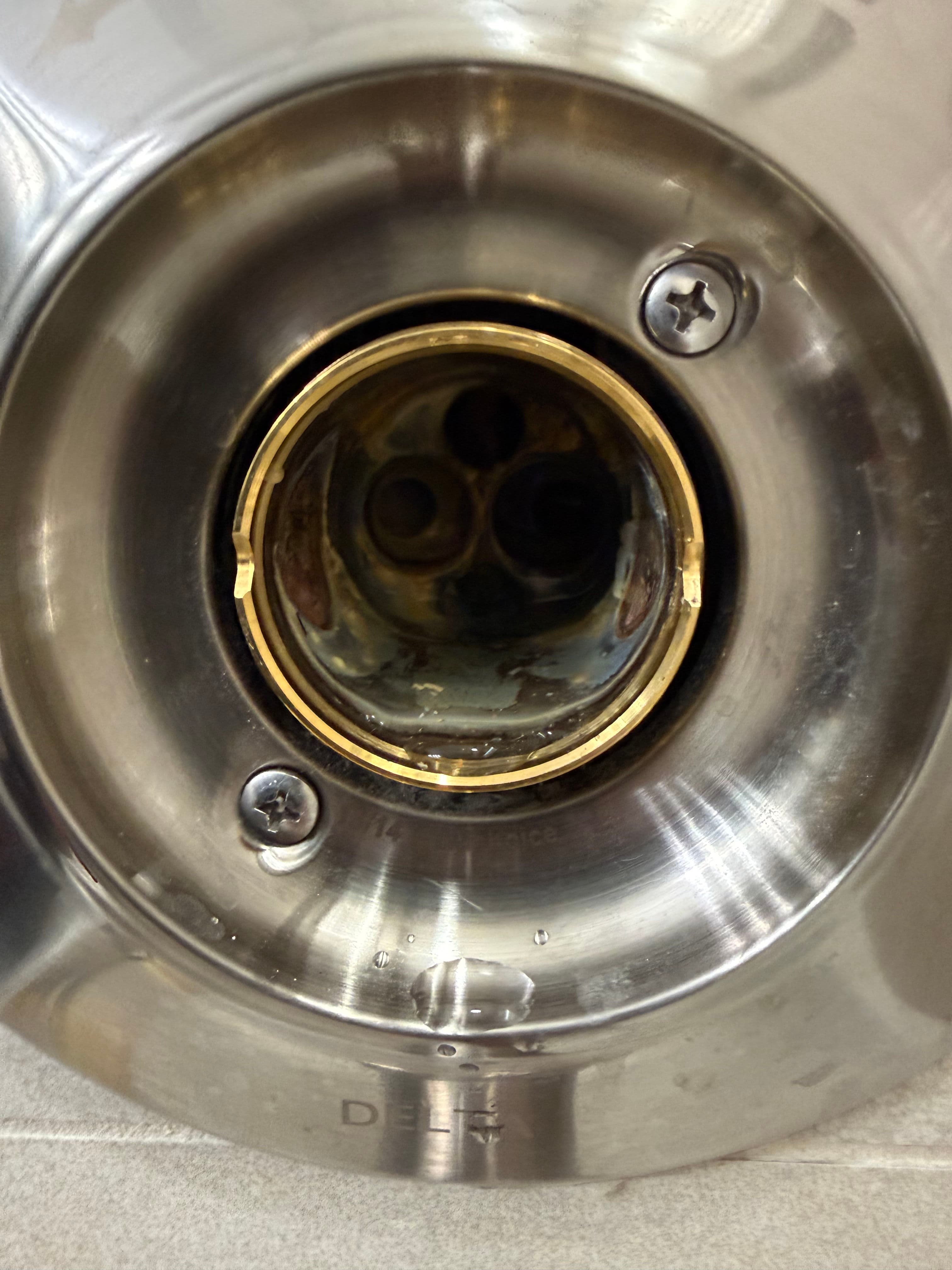 Project Shower Valve Cartridge Replacement in Manatee County image