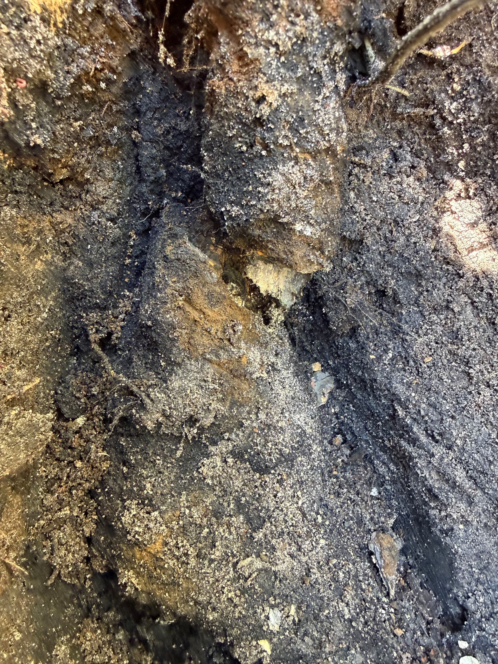 Gallery photos for Ensuring Gas Line Safety with Expert Repair: Image #9